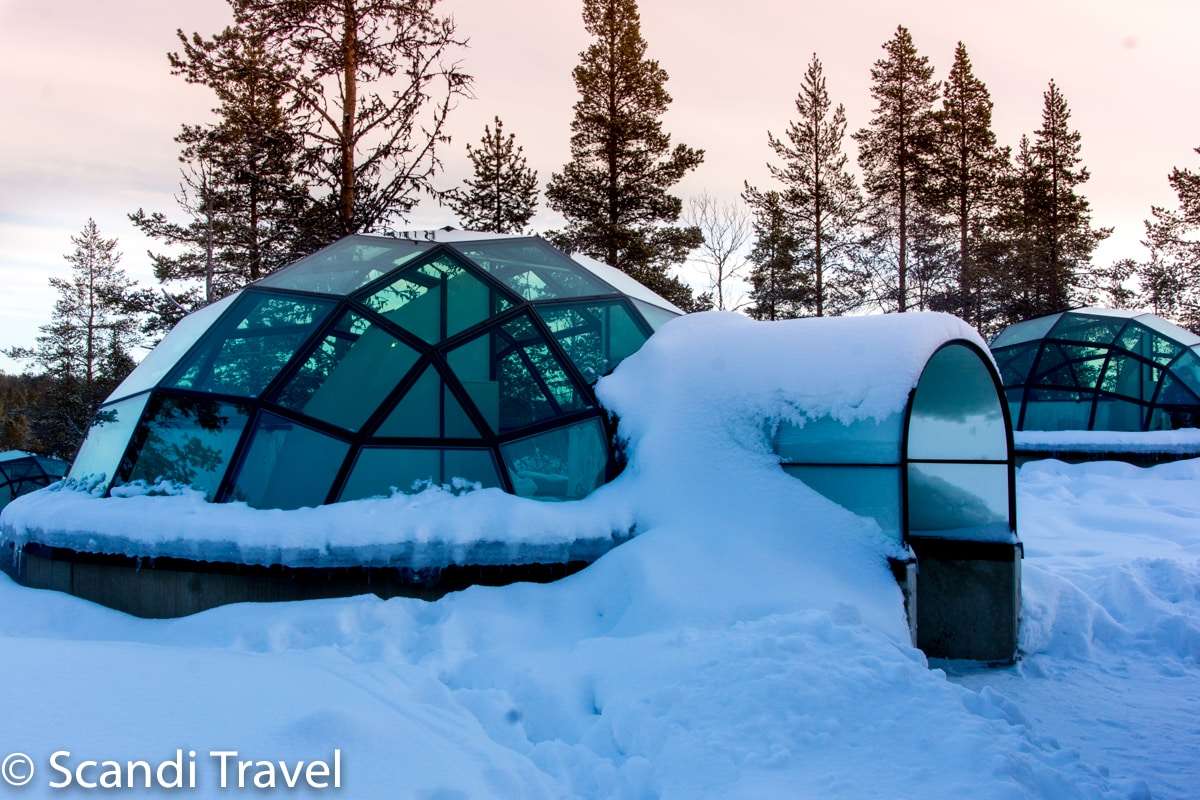 Northern Lights from a Glass Igloo: You Need to - Scandi Travel Tour Operator